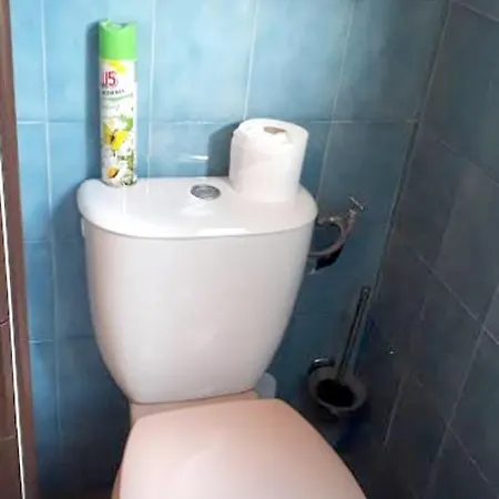 Holiday Impasse Cytharista